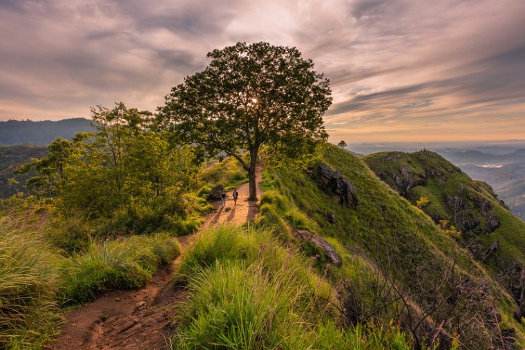 093 Ella, little adam's peak.jpg